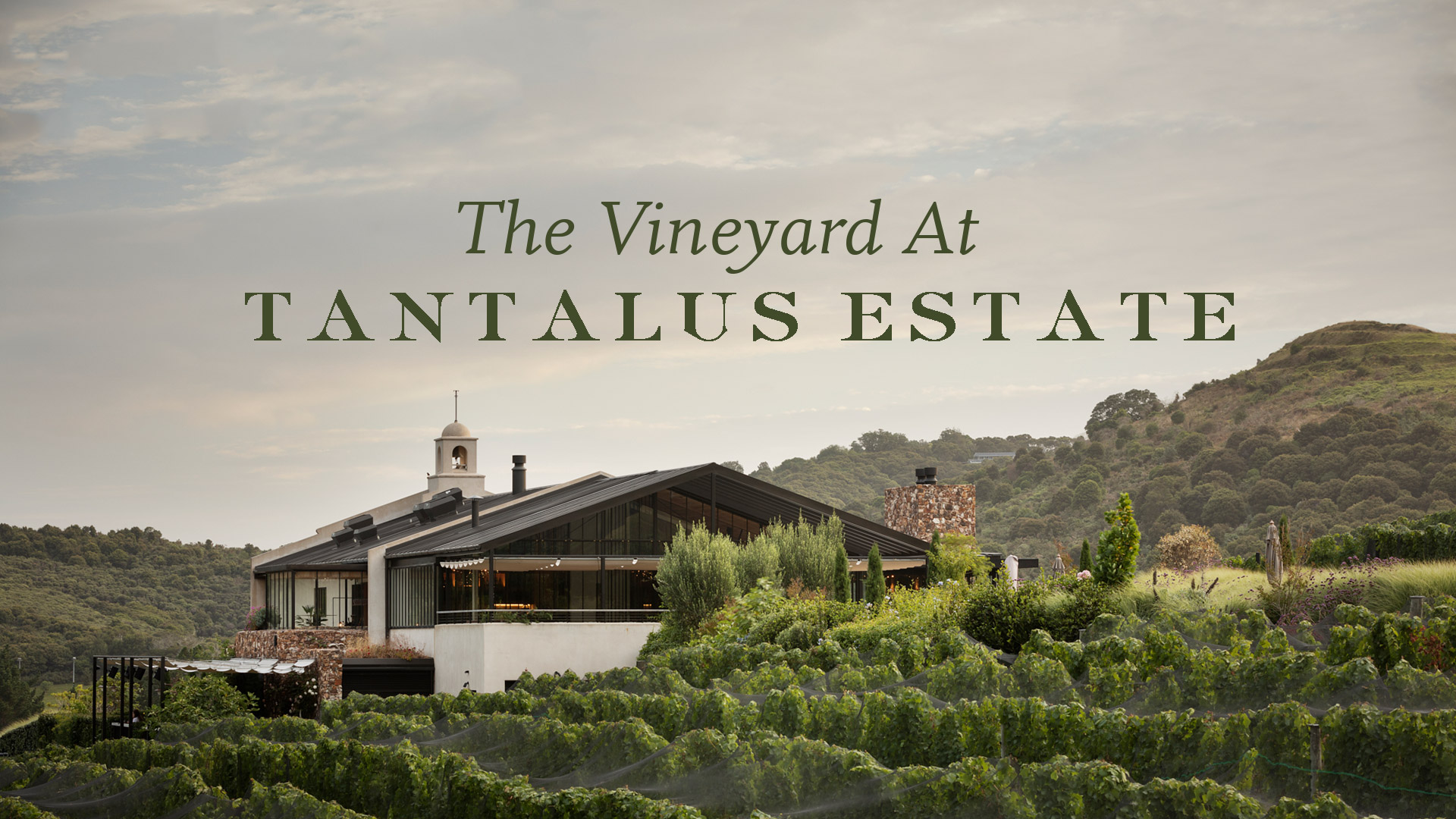 Tantalus winery 2025