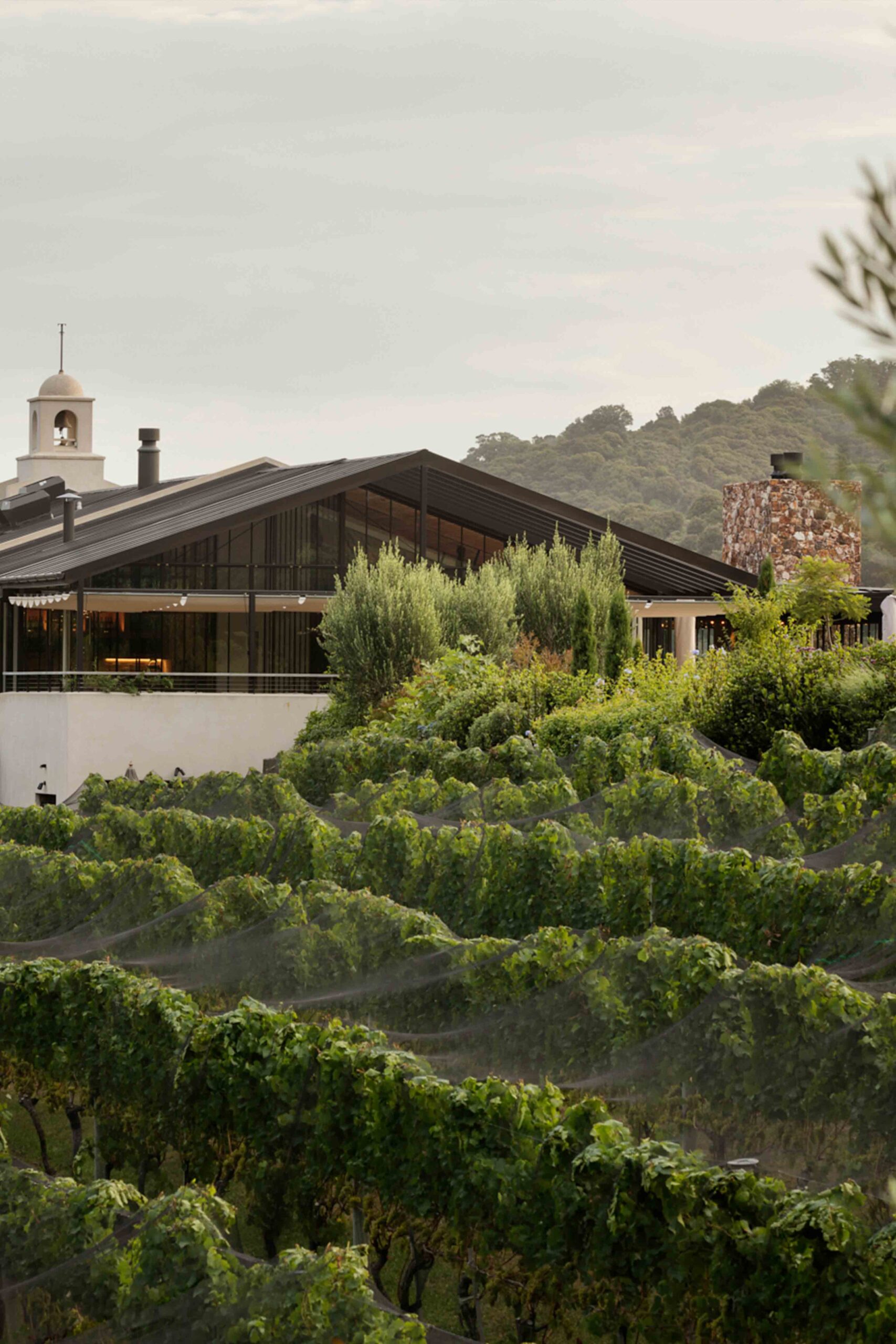 Tantalus Estate Vineyard in Onetangi Valley, producing premium wines.